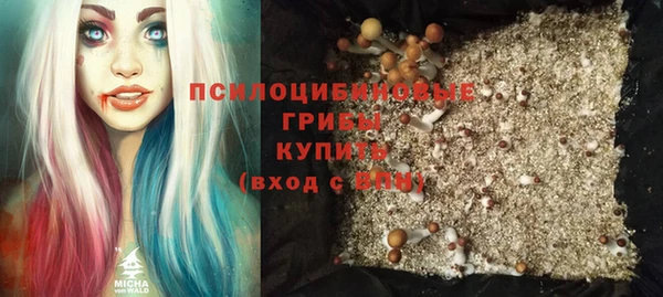 сатива Баксан
