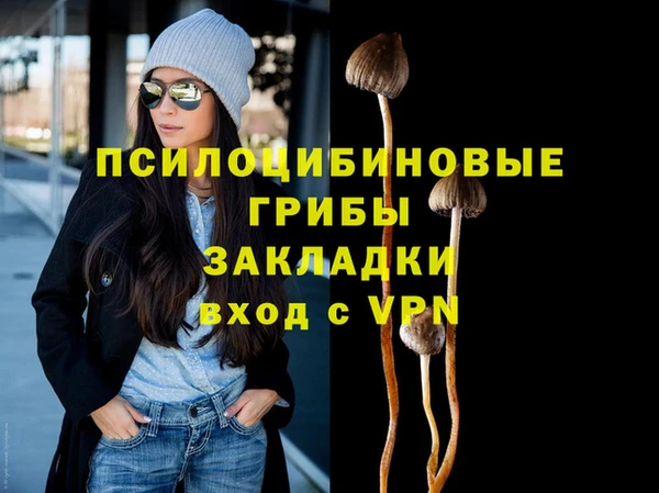 молекула духа Белоозёрский