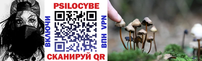 кракен ССЫЛКА  Невель  Псилоцибиновые грибы MAGIC MUSHROOMS 
