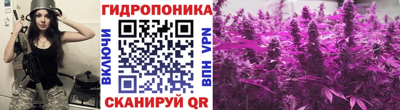 Марихуана гибрид  дарнет шоп  Невель 